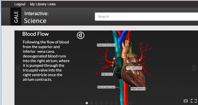 Gale Interactive Science Heart