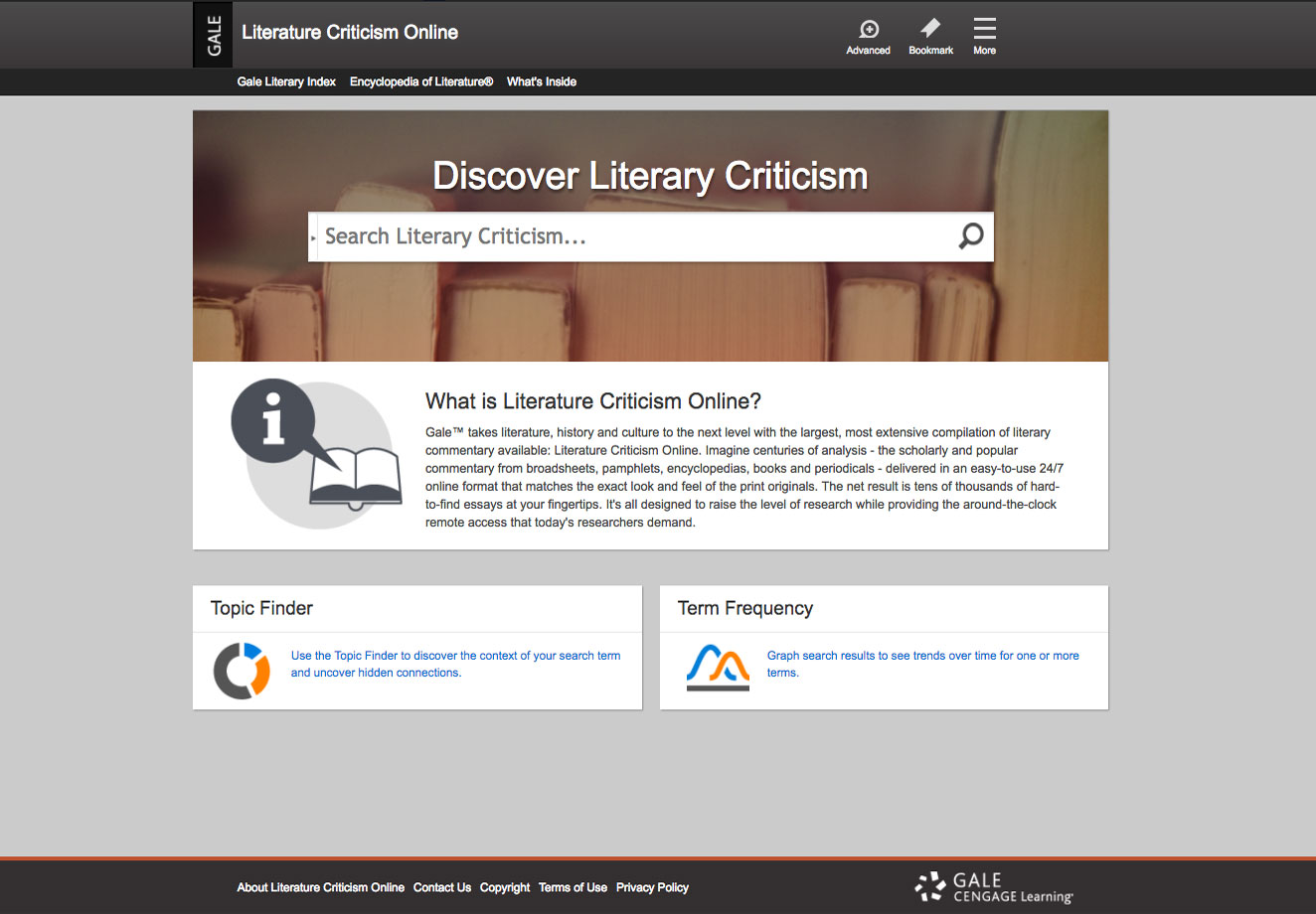 The Literature Criticism Online home page screenshot.